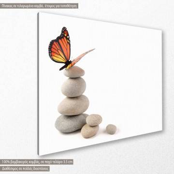Πίνακας σε καμβά Rocks and butterfly I 2