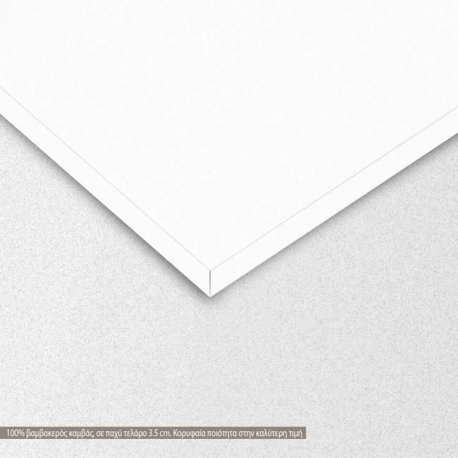 Canvas print Rocks and butterfly I, detail