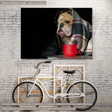 Canvas print Sad Bulldog
