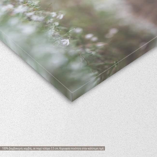 Canvas print Happy dog, detail