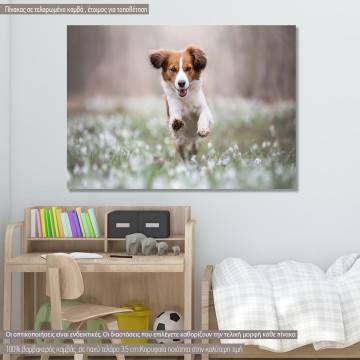 Canvas print Happy dog