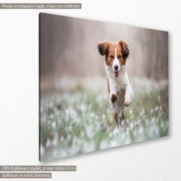 Canvas print Happy dog 2