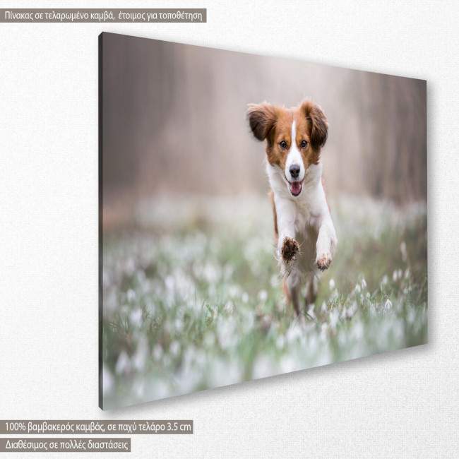 Canvas print Happy dog, side