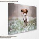Canvas print Happy dog, side