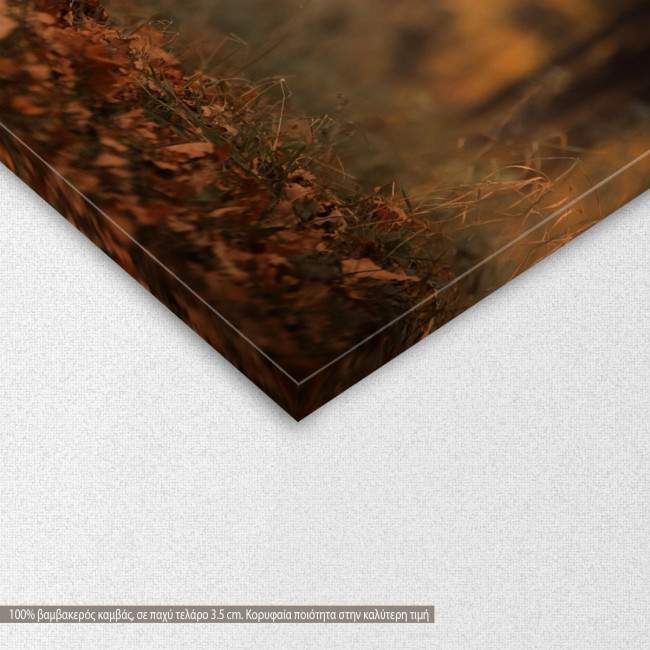 Canvas print Jack Russell Terrier, detail