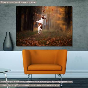 Canvas print Jack Russell Terrier