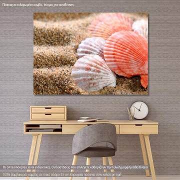 Canvas print  Sea shells on the sandy beach