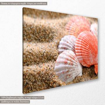 Πίνακας σε καμβά Sea shells on the sandy beach 2