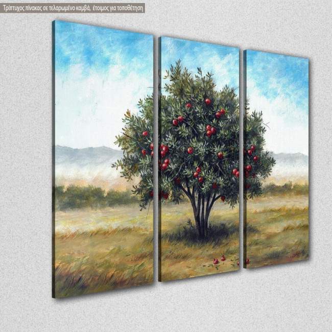 Πίνακας σε καμβά Ροδιά, τρίπτυχος, κοντινό