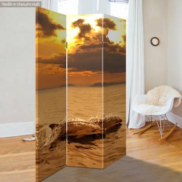 Παραβάν Δελφίνια στο ηλιοβασίλεμα