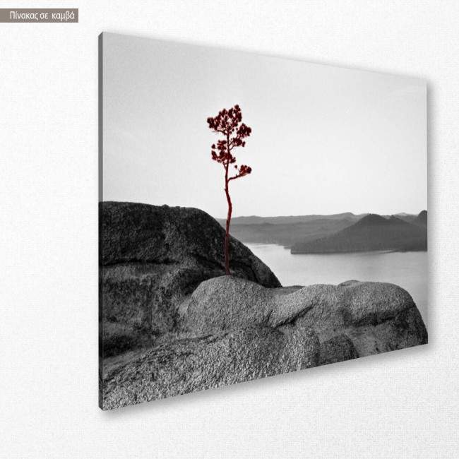 Canvas print Loneliness , side