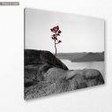 Canvas print Loneliness , side