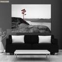 Canvas print Loneliness 