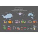 Kids wall stickers with Baby sea animals