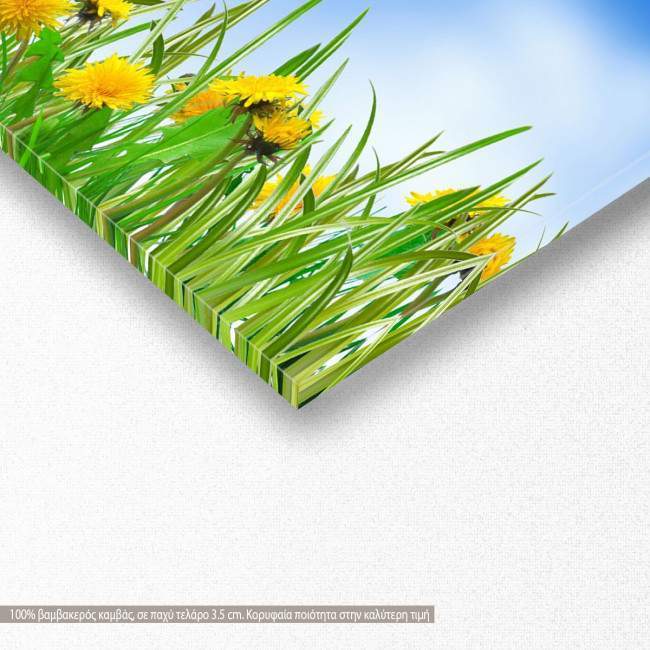 Canvas print Yellow dandelions and grass, panoramic, detail