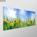 Canvas print Yellow dandelions and grass, panoramic, side