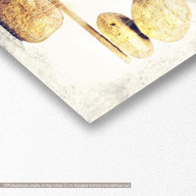 Canvas print Zen stone scales, panoramic, detail