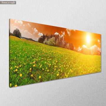 Canvas print Spring panoramic Framed canvas View 1 2