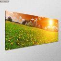 Canvas print Spring, panoramic, side