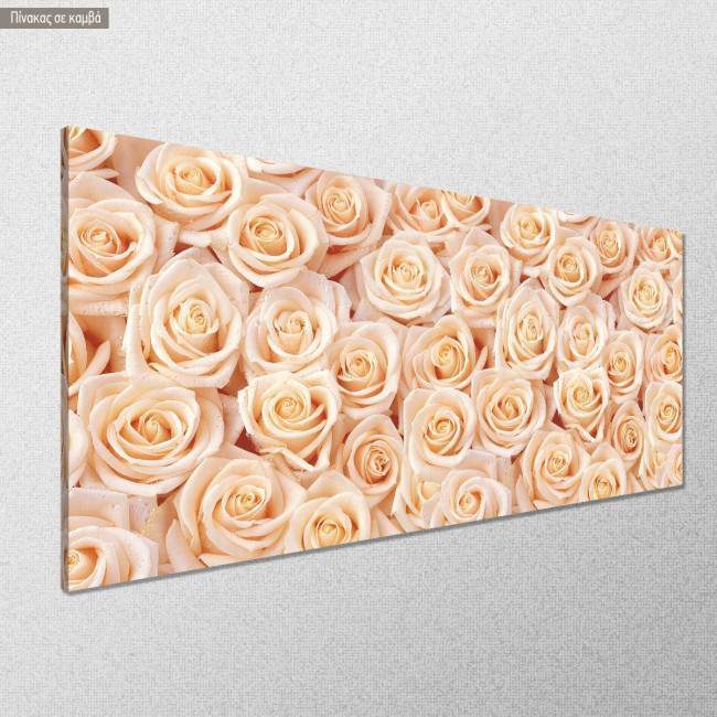Πίνακας σε καμβά Beige roses, πανοραμικός, κοντινό