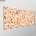 Canvas print Beige roses, panoramic, side