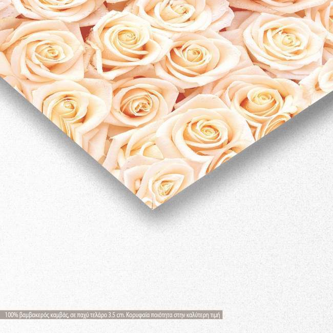 Πίνακας σε καμβά Beige roses, πανοραμικός, λεπτομέρεια