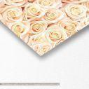 Πίνακας σε καμβά Beige roses, πανοραμικός, λεπτομέρεια