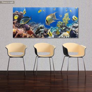 Canvas print Corals and fishes, panoramic