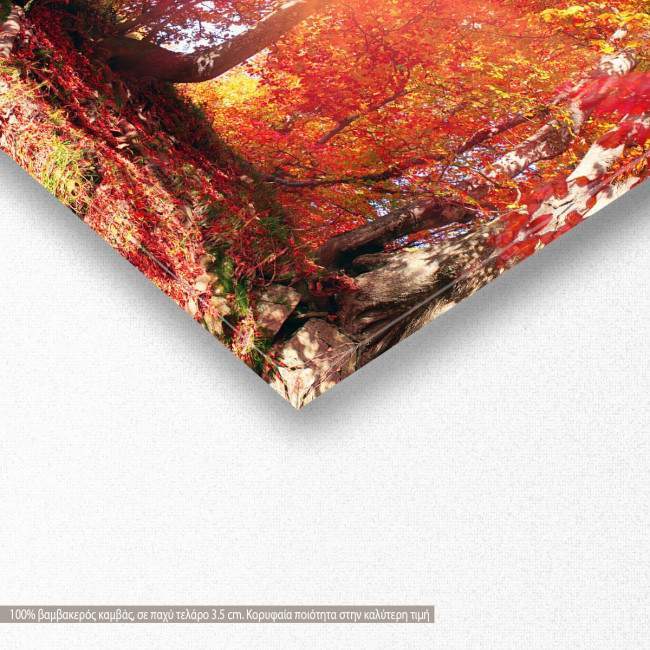 Canvas print Autumn forest, panoramic, detail