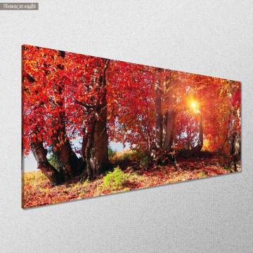 Canvas print Autumn forest panoramic Framed canvas View 1 2