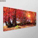 Canvas print Autumn forest, panoramic, side
