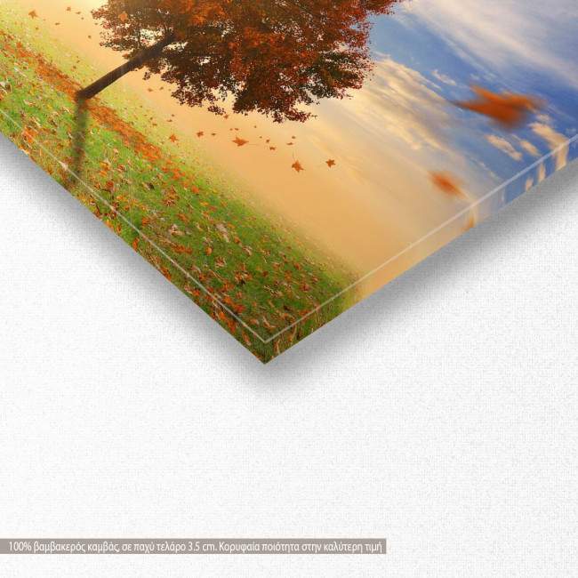 Canvas print Maple tree in autumn, panoramic