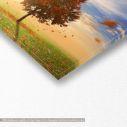 Canvas print Maple tree in autumn, panoramic
