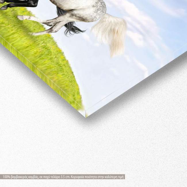 Πίνακας σε καμβά Galloping horses, πανοραμικός, λεπτομέρεια