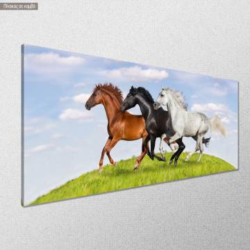 Canvas print Galloping horses panoramic Framed canvas View 1 2