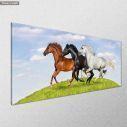 Canvas print Galloping horses, panoramic, side
