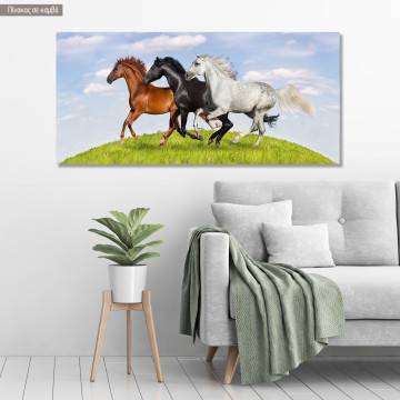 Πίνακας σε καμβά Galloping horses, πανοραμικός