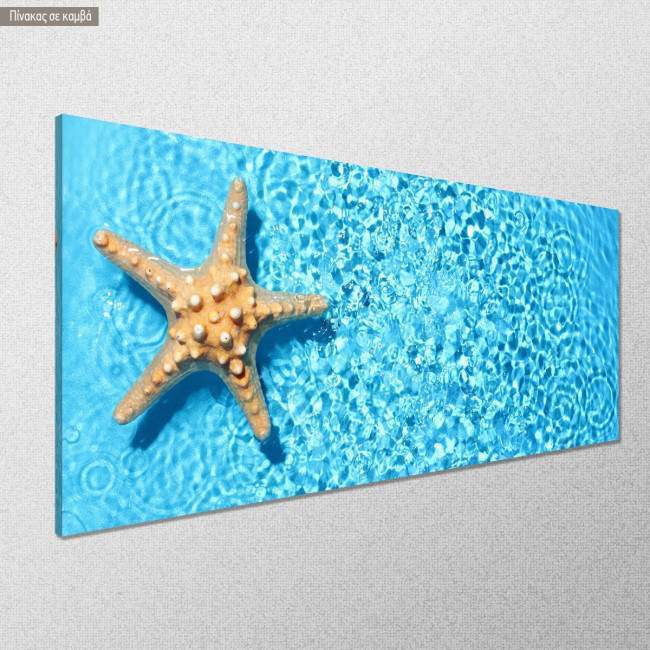 Canvas print Starfish relaxing in the pool, panoramic, side