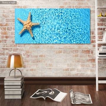 Canvas print Starfish relaxing in the pool, panoramic