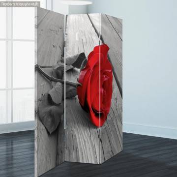 Room divider Red rose