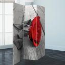 Room divider Red rose