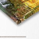 Canvas print Forest waterfall, panoramic, detail