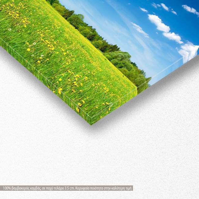 Canvas print Dandelion field, panoramic, detail