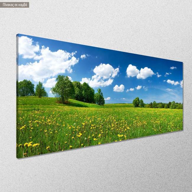 Canvas print Dandelion field, panoramic, side