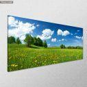 Canvas print Dandelion field, panoramic, side