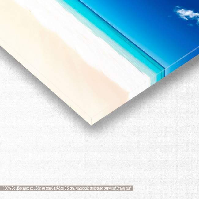 Canvas print Palm tree beach, panoramic, detail