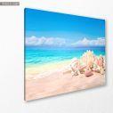 Canvas print  Seashells on sand beach, side