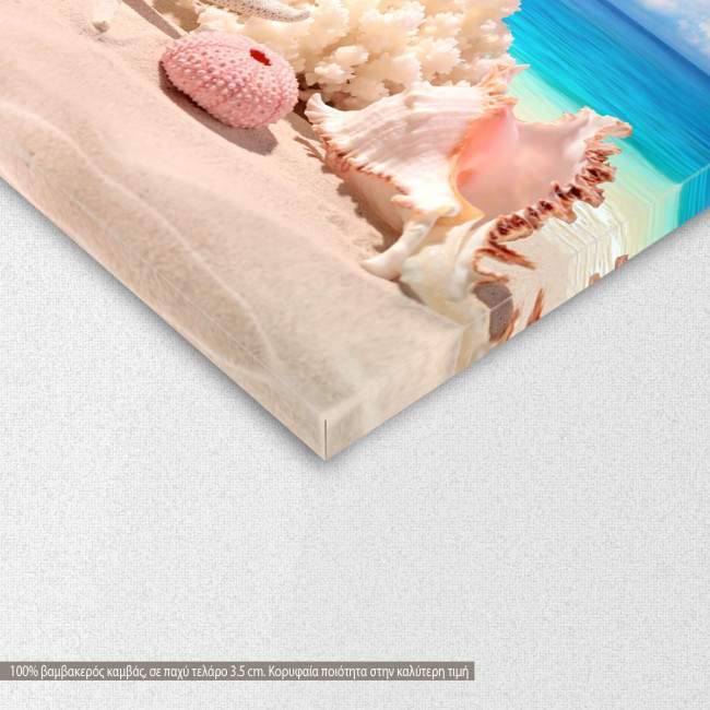 Πίνακας σε καμβά Seashells on sand beach, λεπτομέρεια