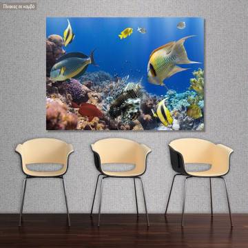 Canvas print, Coral reef with fish