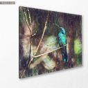 Canvas print Colibri, side